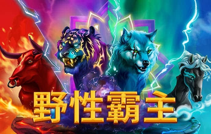 yy易游